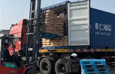 ¿Por qué los compradores surcoreanos importan almidón de camote de Lulong? Una mirada al proceso de carga y envío en la industria de la papa de Tongyou